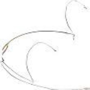 image of 93-h6dw5lsr;image of 93-h6dw5lsr