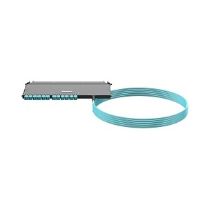 Panduit FSUYPXRNNNNF050 OM4+ 24-Fiber Plenum Front Access Tethered, 50'