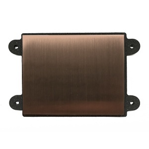 DoorBird 423866546 Engravable Stainless Steel Panel for D2101XH, Brushed, Silver (BRUSHBR)