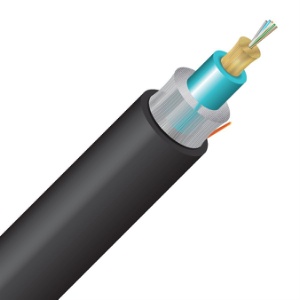 Image of 4E-60125OM3R