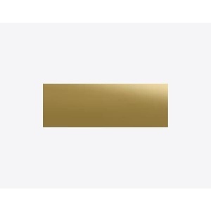 DoorBird D11X Nameplate for Call Button, Not Engraved, Polish Brass (POLISH.BRASS)