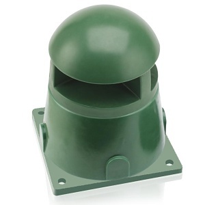 image of at-gstg;image of at-gstg