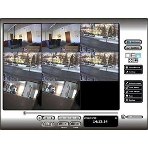 Image of NK-SCBIP04