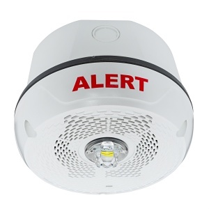 image of bk-spklclrt;image of bk-spklclrt;image of bk-spklclrt;image of bk-spklclrt