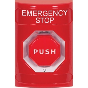 image of sf-2009esen