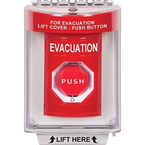 image of sf-2039even