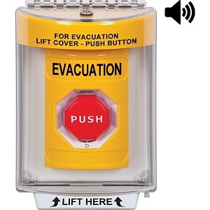 image of sf-2249even