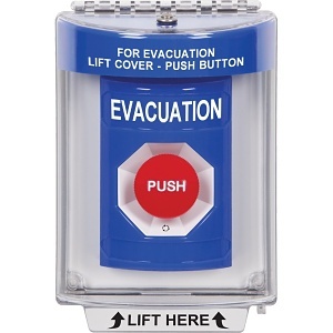 image of sf-2431even