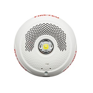 Image of BK-SPSCWLEDB