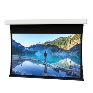 Da-Lite 94230LS Tensioned Advantage Electric Screen, Ceiling Recessed Electric Screen with Plenum-Rated Case and Trim, 16:9 HDTV HDTV Da-Mat, 120V 110" Screen, TAA Complia