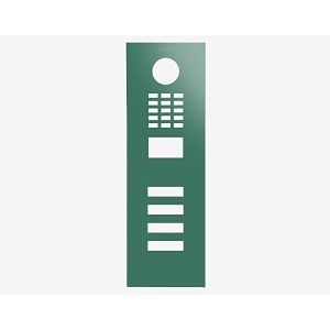 DoorBird D2104V Front Panel, Patina Green (RAL 6000)