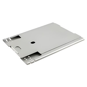 Image of 40-STRAY12F