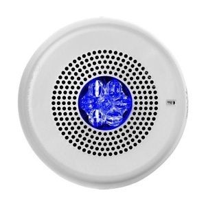 image of wh-elmtswcn;image of wh-elmtswcn;image of wh-elmtswcn