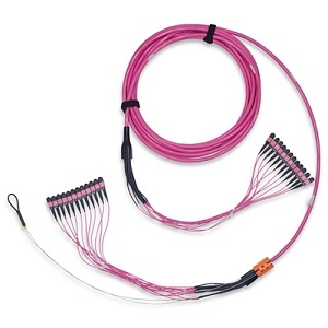 Belden FM44MBD030M Connector Cables, FMT OM4 MPO8(M-M)B 96F 30M