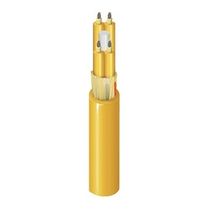 Belden FISR288RY FX 288-Fiber Indoor Cable, FLRIB OS2, OFNR