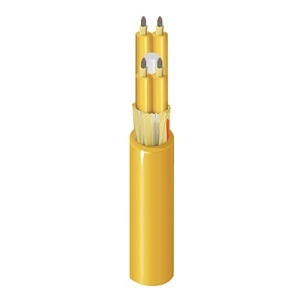 Belden FISR576RZ Fiber Optic Cable, FI FLRIB OS2 576F OFNR
