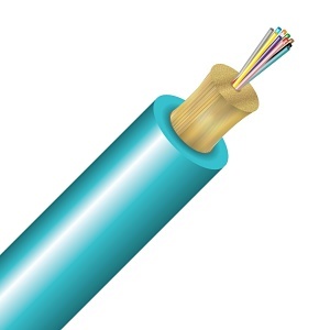 image of cc-0125mom3p