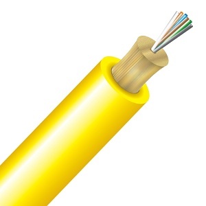 image of cc-tn006s2d9ypb