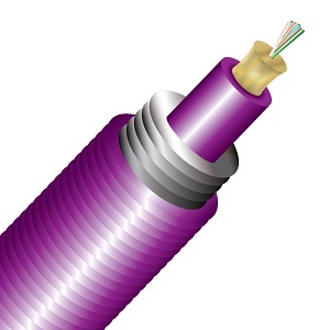 image of cc-ta006m4d9mpb