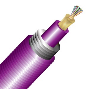 Image of CC-A024M4MPB