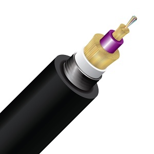 Image of CC-CN12A4PEB