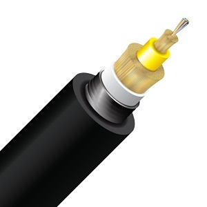 Image of CC-CN12AC2PE