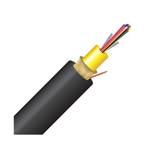 Image of CC-CN12DJM2R