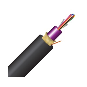 Image of CC-CN12DOM4R