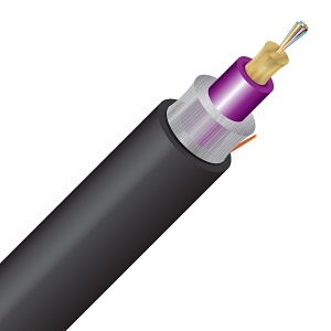 image of cc-12rmd50125om4r