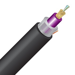 Image of CC-CN6RMM4RB