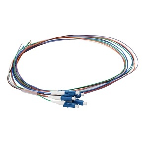 image of cc-ptlc06sm1m