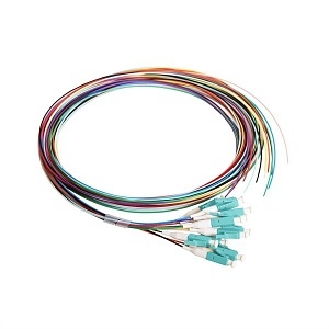 Image of CC-CNPTLC12M