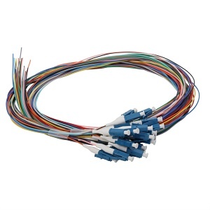 image of cc-cnptlc24s