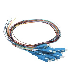 image of cc-ptsc12sm1m