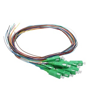 image of cc-ptsc12smapc1m
