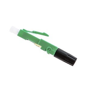 image of cc-ssflcsmapc25