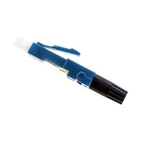 image of cc-ssflcsmupc25