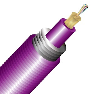 image of cc-ta012m4d9mp