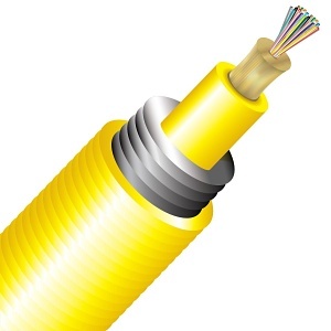 Image of CC-CNTA024S2