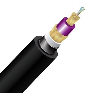 Image of CC-CNTD006M4