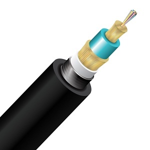 Image of CC-CNTD012M3