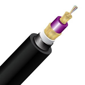 Image of CC-CNTD012M4