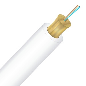 Image of CC-CNTN002WP