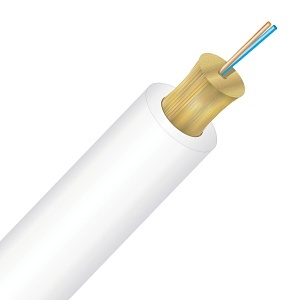image of cc-tn002s2d9wr