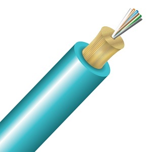 Image of CC-CNTN006AR