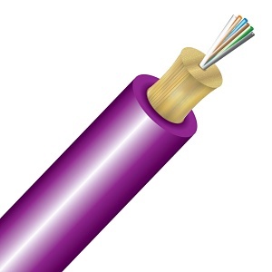 image of cc-tn006m4d9mr