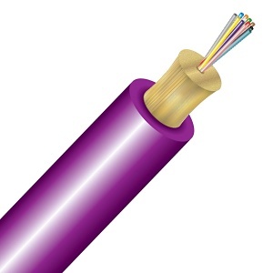 Image of CC-CNTN019MR