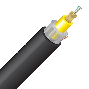 Image of CC-D9125OB2K