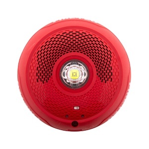 image of fl-spscrledb;image of fl-spscrledb;image of fl-spscrledb;image of fl-spscrledb