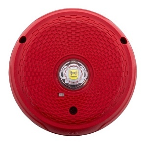 Image of 4H-SCRKLEDP